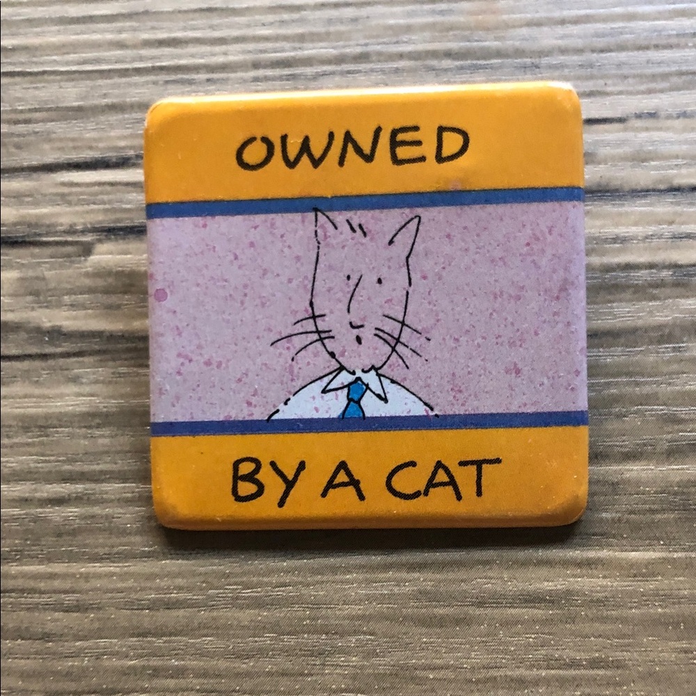VINTAGE AMERICAN GREETINGS PIN OWNED BY A CAT